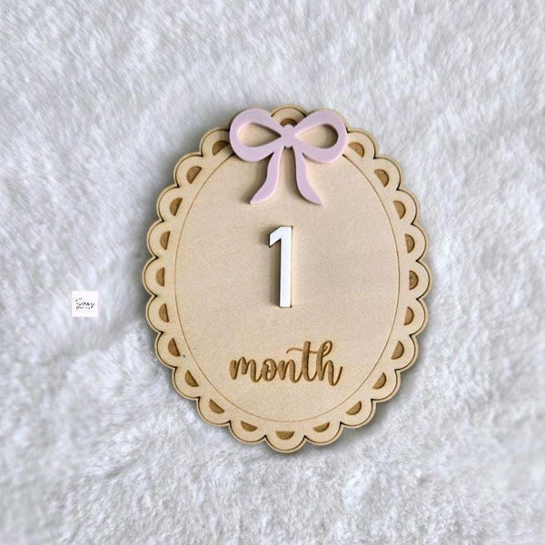 Baby Monthly Milestone Sign Set, Bow Themed Monthly Disc, Newborn Photo Prop Sign, Birth Announcement, Baby Shower Gift, Milestone Plaques