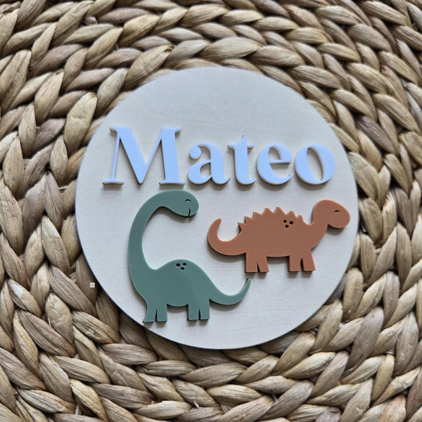 Dinosaur Baby Name Sign, Dinosaour Name Disc,Newborn Baby Name plate, Hospital Newborn Photo Prop Sign, Personalized custom Baby Shower Gift