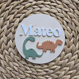 Dinosaur Baby Name Sign, Dinosaour Name Disc,Newborn Baby Name plate, Hospital Newborn Photo Prop Sign, Personalized custom Baby Shower Gift